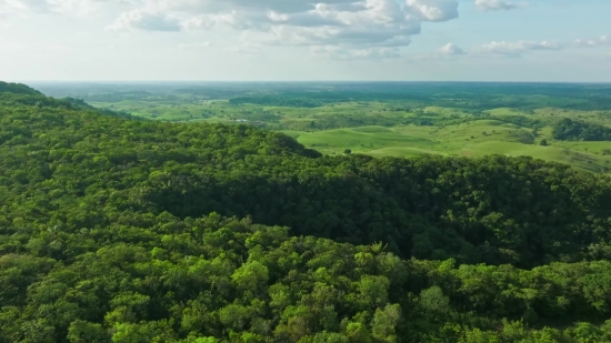 Comedy Video Clip Download, Tree, Landscape, Highland, Forest, Sky