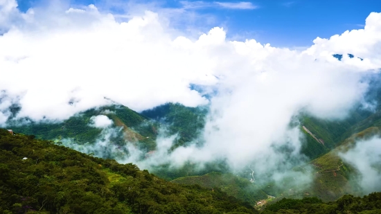 Concert Stock Video, Sky, Atmosphere, Mountain, Landscape, Forest