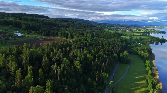 Copyright Free Cctv Footage, Tree, Landscape, Woody Plant, Mountain, Forest