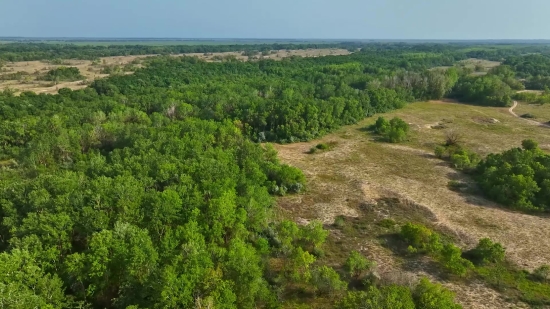 Copyright Video Free Download, Landscape, Knoll, Tree, Sky, Mountain