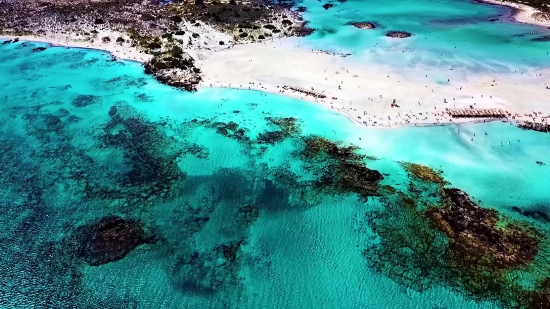 Coral Reef, Reef, Beach, Ridge, Ocean, Sea