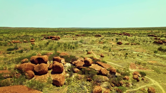 Coral Reef Stock Footage, Field, Landscape, Land, Steppe, Hay