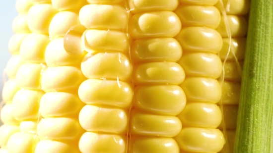 Corn, Kernel, Grain, Seed, Fruit, Yellow