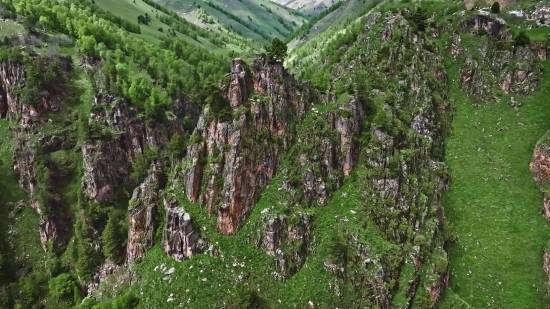 Crackers Video Free Download, Tree, Mountain, Landscape, Mountains, Woody Plant