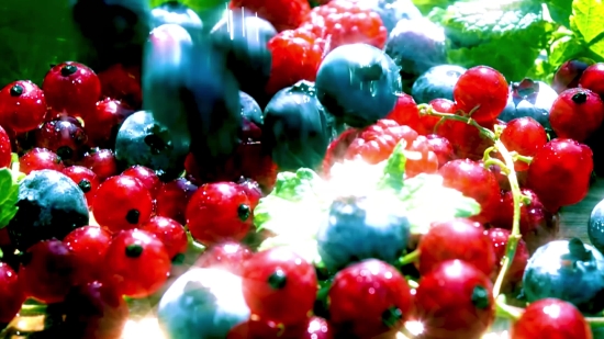 Currant, Berry, Fruit, Red Currant, Shrub, Edible Fruit