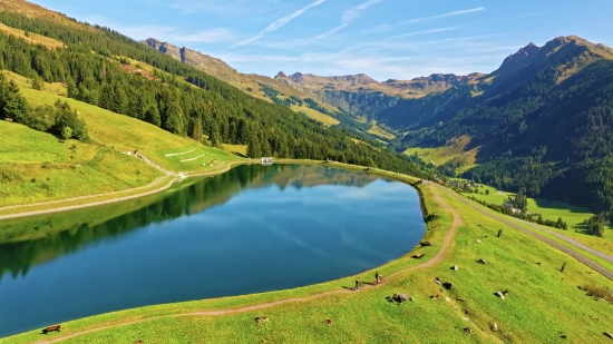 Dolphin Stock Footage, Lake, Body Of Water, Landscape, Mountain, Mountains