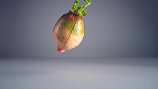 Download Vimeo, Onion, Bulb, Fruit, Stalk, Apple