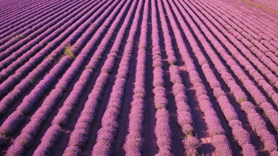 Dune, Texture, Sand, Pattern, Material, Soil