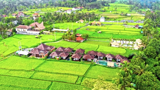 Farmer, Landscape, Football Stadium, Field, Grass, Athletic Facility