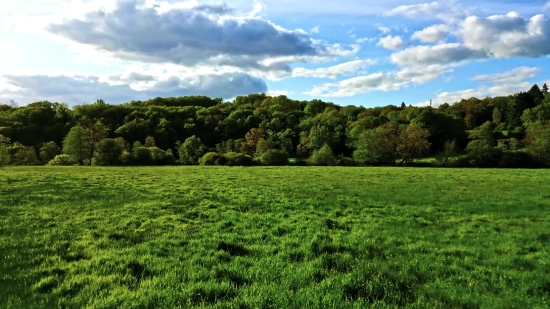 Field, Grass, Landscape, Sky, Rural, Meadow