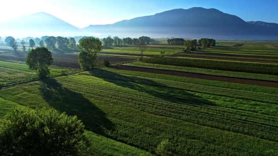 Field, Landscape, Agriculture, Grass, Rural, Farm