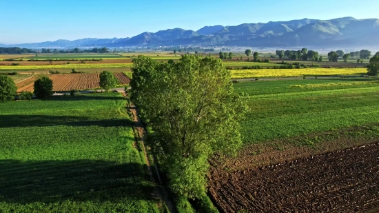 Field, Landscape, Agriculture, Rural, Grass, Farm