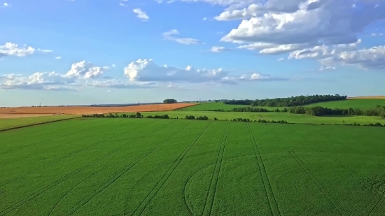 Field, Plain, Sky, Grass, Landscape, Rural