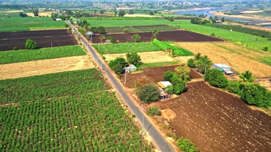 Field, Rural, Landscape, Farm, Agriculture, Grass