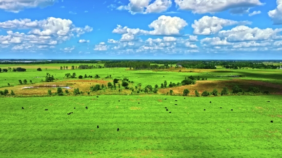 Field, Rural, Landscape, Meadow, Grass, Plain