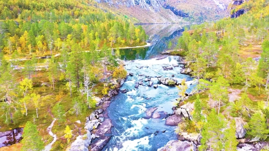 Forest, Canyon, River, Landscape, Mountain, Valley