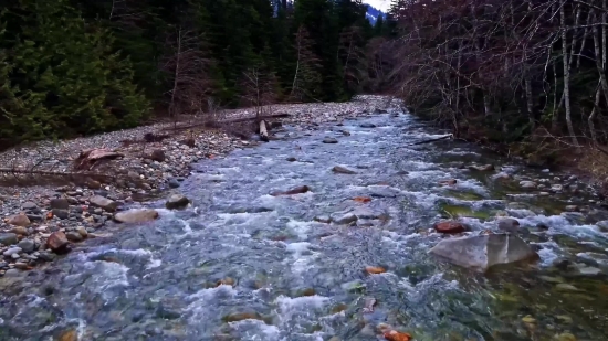 Forest, River, Landscape, Mountain, Stream, Water