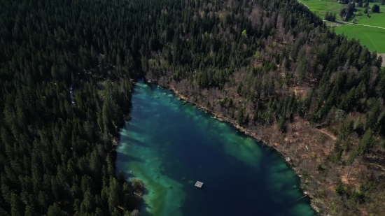 Forest, River, Landscape, Water, Lake, Land