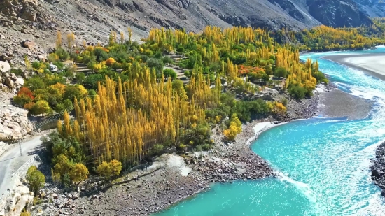 Forest, Tree, Landscape, Lake, Mountain, Water