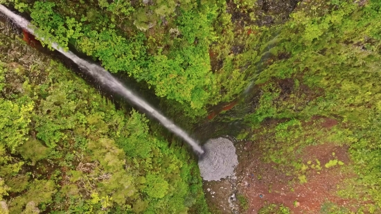 Forest, Tree, Landscape, River, Stone, Water