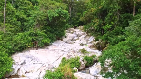 Forest, Tree, River, Rock, Mountain, Landscape