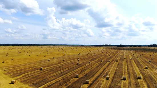 Free Digital Background Chroma Key, Landscape, Sky, Dune, Sand, Field