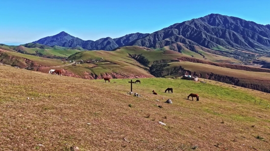 Free Download Video Bokeh, Highland, Mountains, Mountain, Steppe, Plain