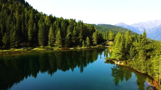 Free Footage Video, Lake, Tree, Reflection, Landscape, Forest