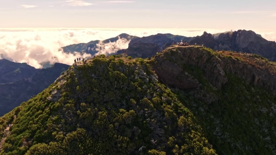 Free Stock Drone Footage, Gorse, Shrub, Mountain, Landscape, Woody Plant