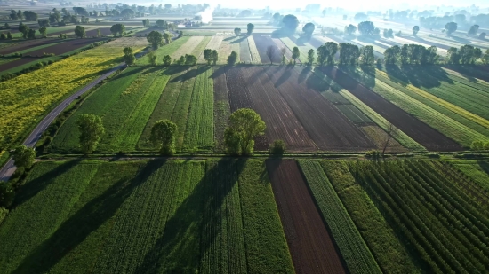 Free Stock Video Download Without Watermark, Dam, Structure, Greenhouse, Barrier, Building