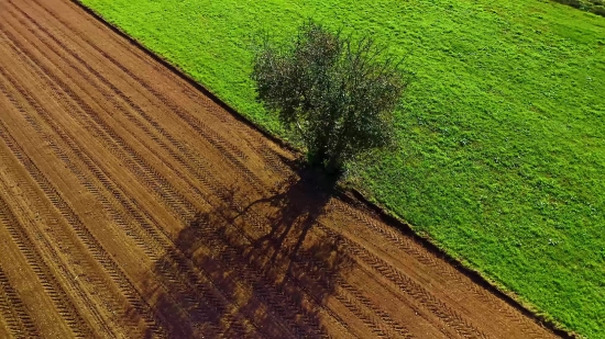 Free Vj Footages, Landscape, Rural, Tree, Sky, Field