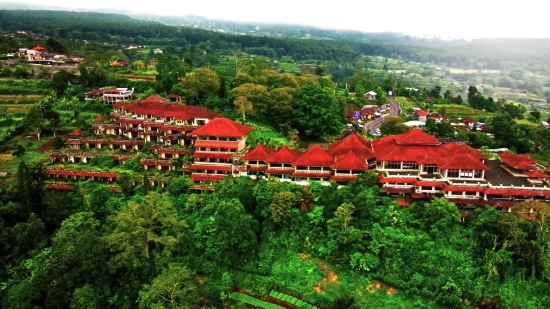 Garden, Building, Tree, Landscape, Roof, House