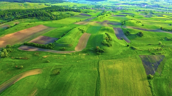 Golf Course, Course, Facility, Landscape, Grass, Rural