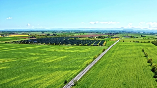 Grass, Field, Landscape, Sky, Rice, Rural