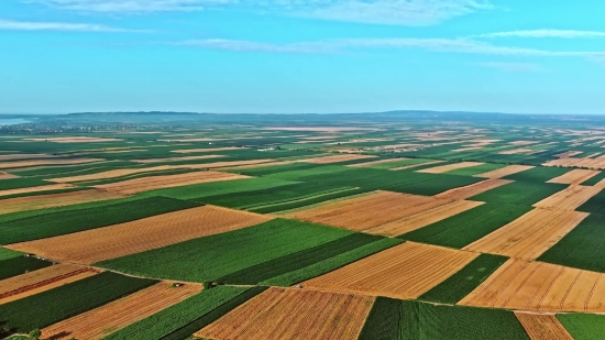 Grass, Field, Landscape, Summer, Lawn, Meadow