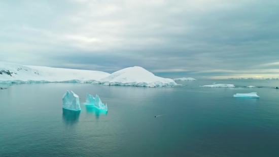 Green Screen Flower Video Download, Iceberg, Water, Ice, Landscape, Ocean