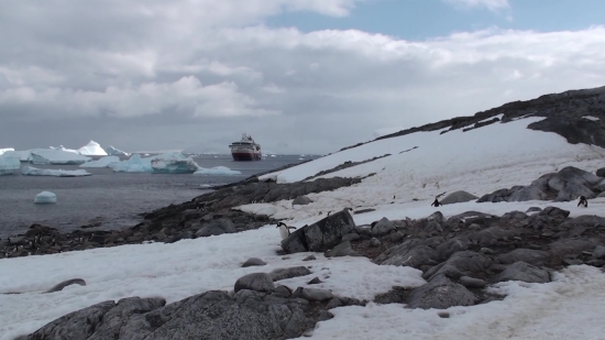 Green Screen News Video Download, Shoreline, Sea, Ocean, Beach, Water