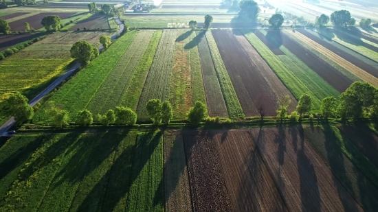 Greenhouse, Building, Structure, Agriculture, Landscape, Rural