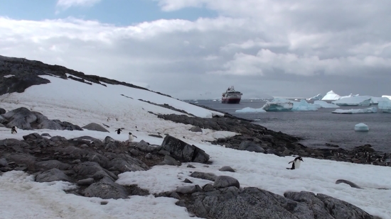 Guitar Stock Video, Shoreline, Landscape, Sea, Breakwater, Ocean