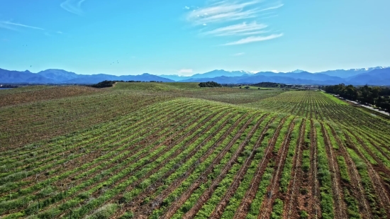 Highland, Field, Agriculture, Landscape, Rural, Farm