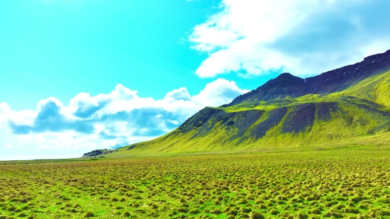 Highland, Field, Landscape, Rural, Farm, Agriculture