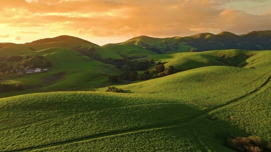 Highland, Landscape, Grass, Meadow, Field, Rural