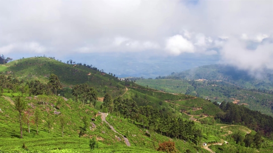 Highland, Landscape, Mountain, Mountains, Tree, Valley