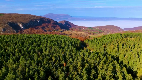 Highland, Landscape, Mountain, Range, Tree, Sky