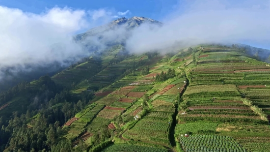 Highland, Landscape, Mountain, Rural, Agriculture, Field