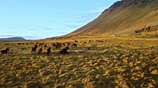 Highland, Landscape, Mountains, Land, Steppe, Mountain