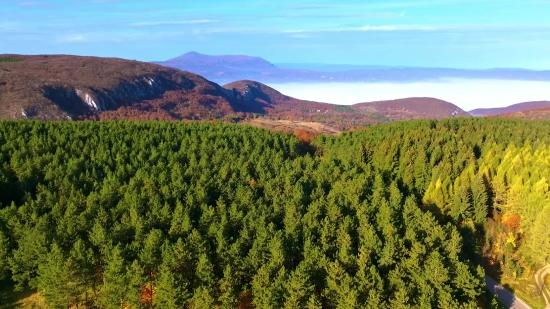 Highland, Landscape, Range, Mountain, Mountains, Tree