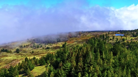 Highland, Landscape, Tree, Mountain, Range, Sky