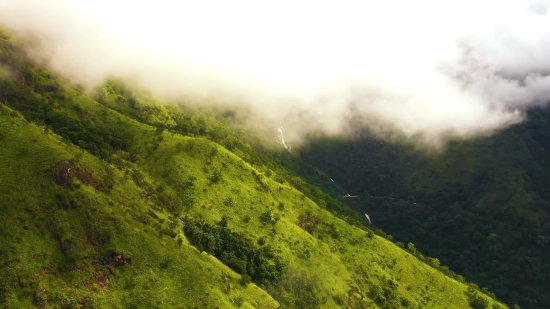 Highland, Mountain, Landscape, Forest, Mountains, Tree