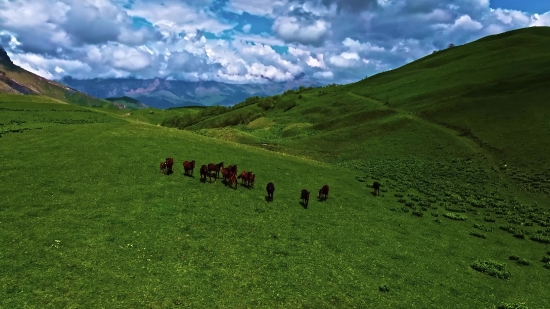 Highland, Mountain, Landscape, Grass, Meadow, Sky